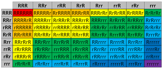 Breeding Progeny Chart (RrRrRr x RrRrRr)