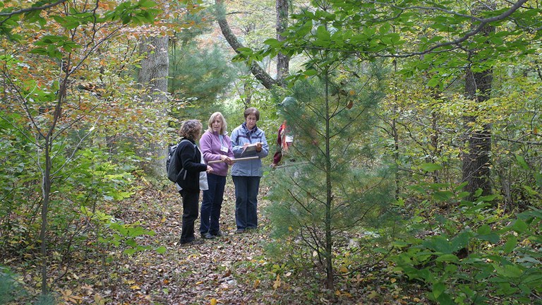 The Women and Their Woods educational retreat offers opportunities for hands-on learning, networking, and skill sharing in a friendly, peer-learning environment. Applications are now being accepted.