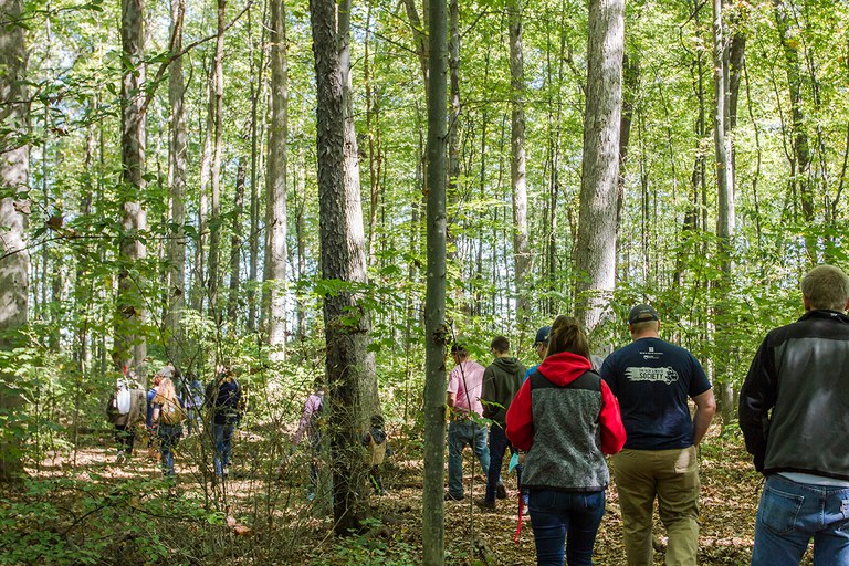 Join fellow Pennsylvanians across the state in a woods walk near you on Sunday, October 7! (Photo by Laura Kirt, Laura Kirt Studios)
