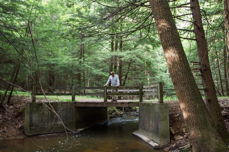 A forest landowner contemplates his woods and stream.