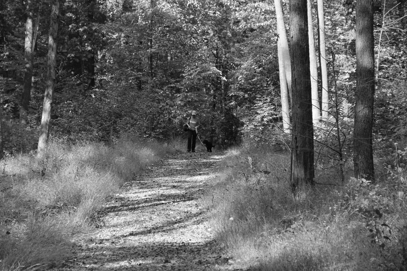 Some Surprising Aspects of Climate Change on Eastern US Forests