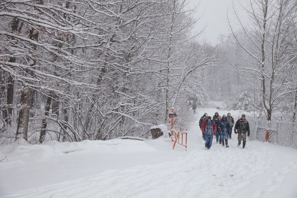 Tour group walking in the woods