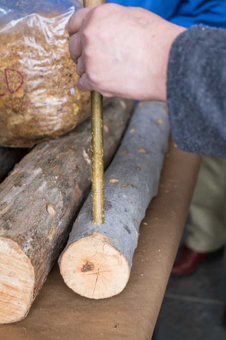Mushroom Cultivation for Woodlot Owners Workshop