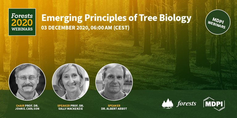 Emerging Principles of Tree Biology webinar banner