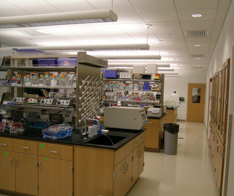 The Schatz Center lab