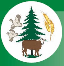 Growing Chinese Chestnut Trees in Missouri