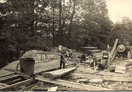 Sawmill with Chestnut Lumber