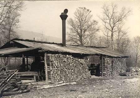 Stave Mill with Stacked Firewood