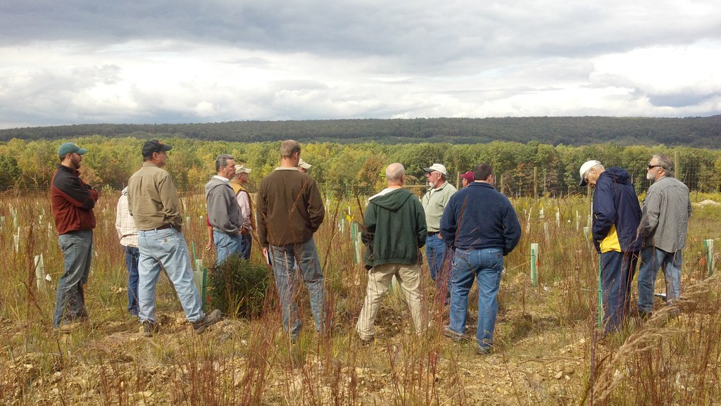 The group observes the 2012 Michael Coal progeny test area inside the 1-acre deer fence.  Bill Reichert, President of Schuylkill Headwaters, discusses the details of the site's history.