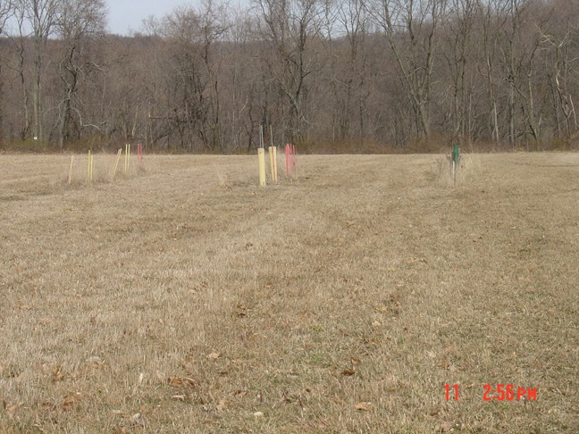View of Planting Area