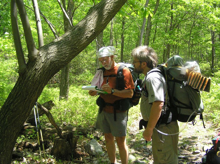 Hikers taking data on a large American chestnut tree near Sunfish Pond in New Jersey