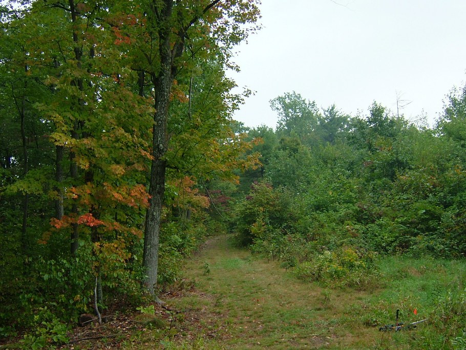 We compared nitrogen cycling in paired young and old forests in central PA to understand how succession affects soil nitrogen retention.  Both types of forest stabilized inorganic nitrogen quickly, but the older forest had a thicker O horizon, and thus a greater capacity for nitrogen storage.  