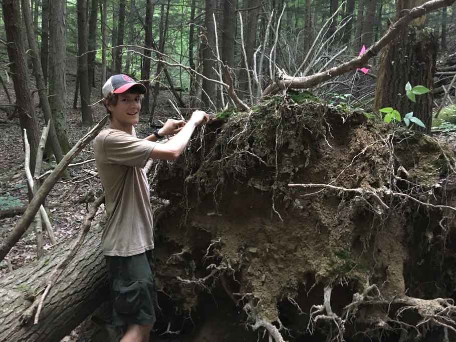 Tree tip-ups (uprooting by wind) in the SSHCZO provide an opportunity to look at re-establishment of plants and soil characteristics on disturbed surfaces. Here, Ben Dillner collects a shallow soil sample from a tree tip-up mound to analyze for water content and nitrogen availability.