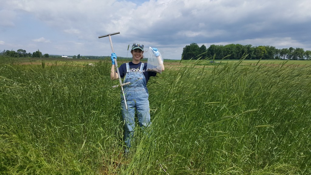 Pictured here is Sarah Isbell, Ph.D. candidate in Ecology, taking soil samples in her experiment at the Russel E. Larson Experimental Farm. This experiment is exploring the impacts of interseeding cover crops on nitrogen retention and soil microbial communities in agroecosystems. 