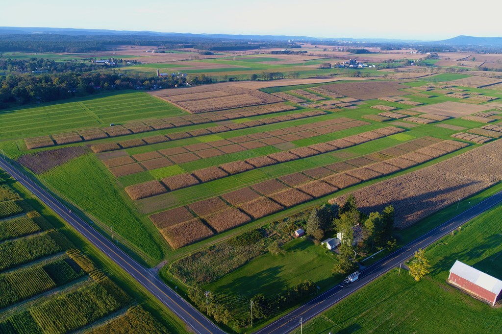 Much of our agricultural research takes place at this research farm.  The facilities allow us to make controlled, replicated experiments to assess changes in N and C cycling from specific management practices