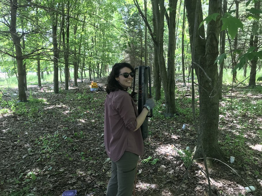 Marissa Kopp, Ph.D. candidate in Ecology, installs grounding rods at the Common Garden, located at the Penn State Horticultural Research Farm. The Common Garden is designed to test the effect of tree species on forest biogeochemistry, including soil chemistry, root and microbial activity, and soil gas fluxes.