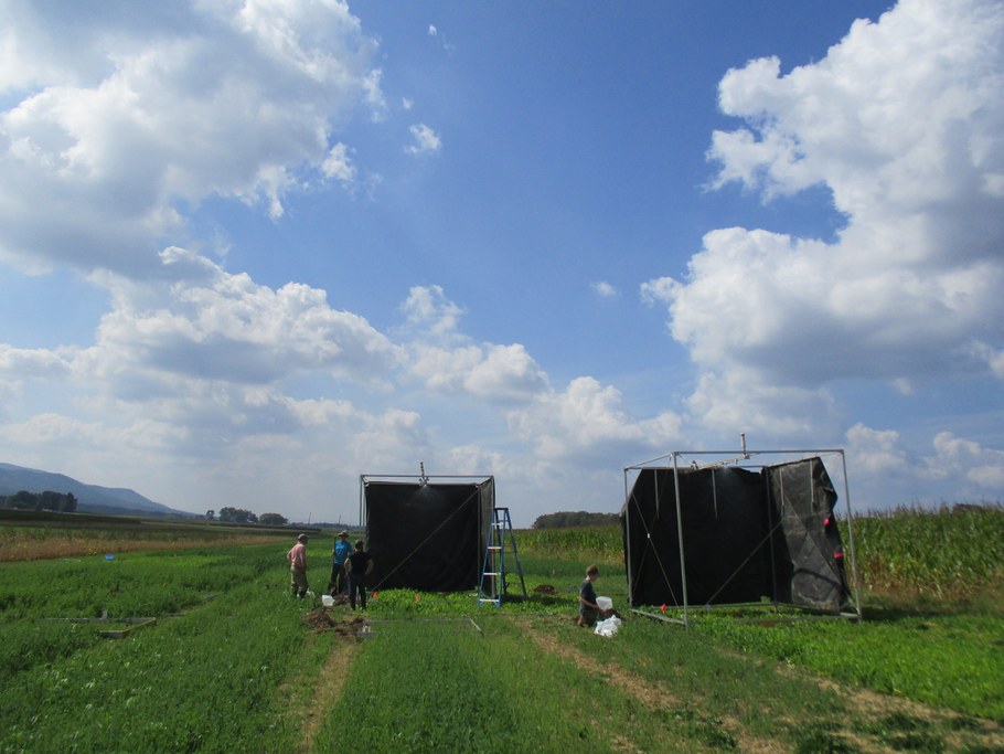 We used rain simulators (metal frames shown) to apply high-intensity rain to different cover crops. Runoff water was collected from each plot and used to measure nutrient and sediment losses. Kaye lab members pictured from left to right are Jason Kaye, Brosi Bradley, Dayton Spackman, and Caitlin Hodges.  