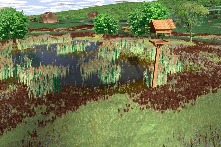 Wetlands Closeup