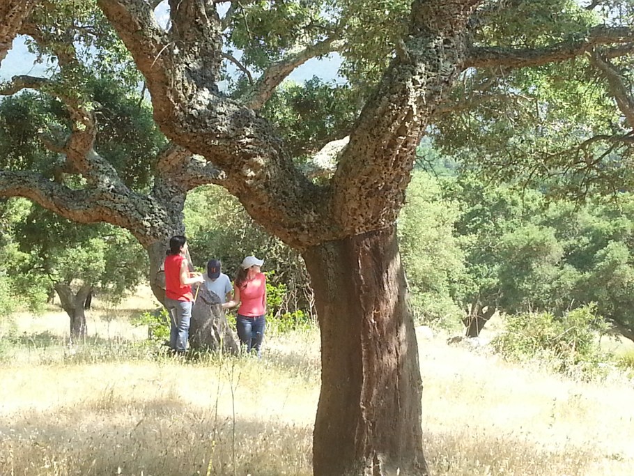 Another day in the field