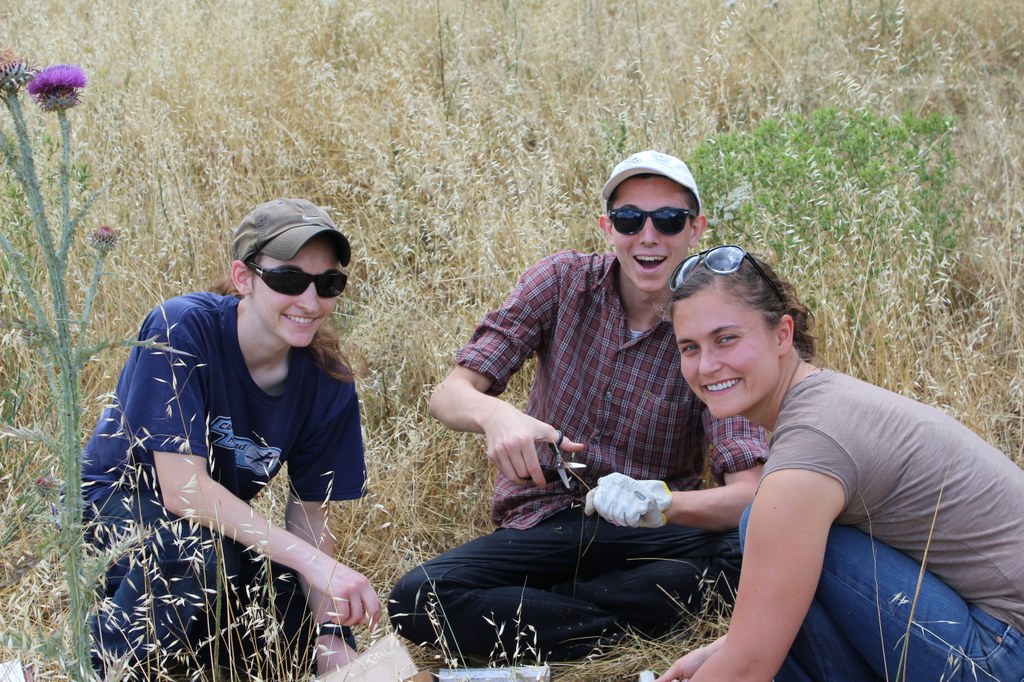 Field work
