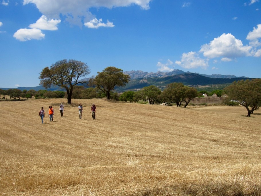 A final day in the open grasslands of Sardinia