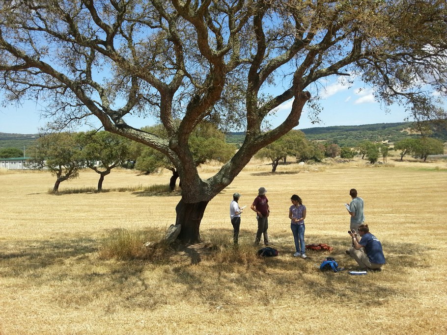Break under the cork oak tree