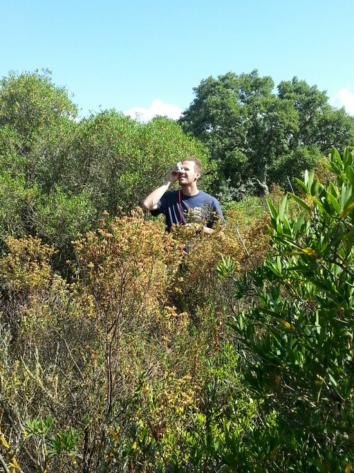 Measuring tree height...about 8 meters tall