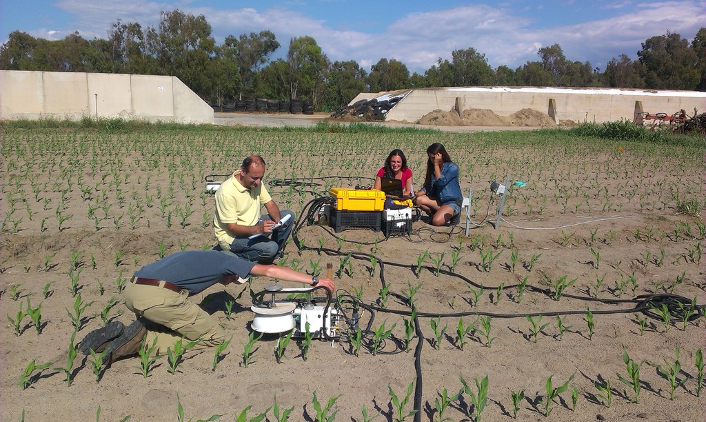 Setting up to measure soil respiration
