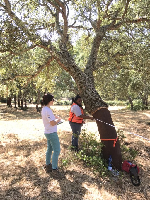 Giovanna didn't miss field work in any of the three summers!