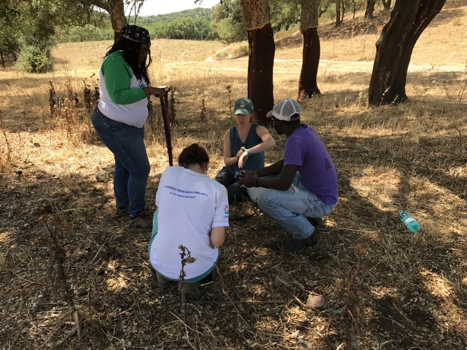 Measuring soil respiration