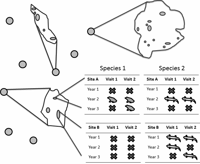Example charts showing time-series recordings of amphibians
