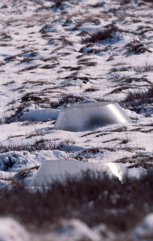 Itex cones used for warming experiments in Greenland