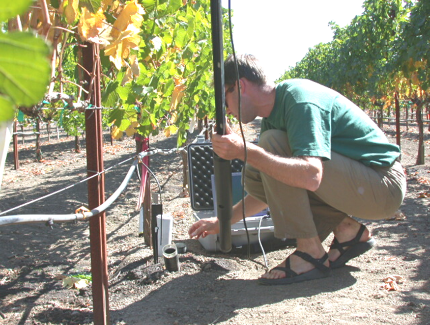 Physiology of Fruit Crops and Temperate Trees Marc Goebel taking images of roots with a minirhizotron camera in a California vineyard