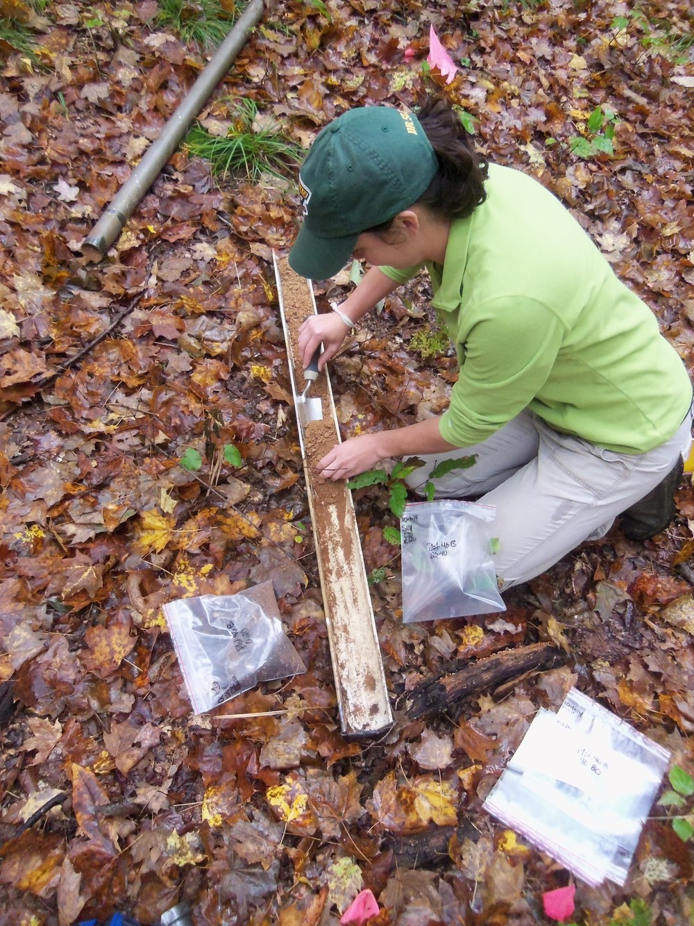 Lexie dividing soil cores at Shale Hills
