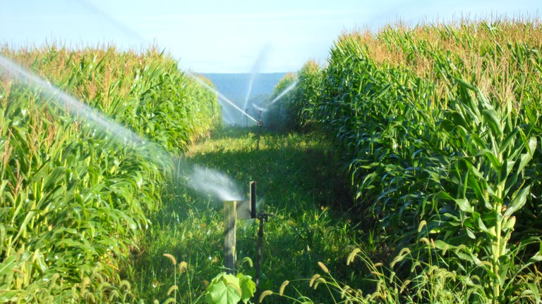 Spray Irrigation Field, Penn State's Living Filter Astronomy Site