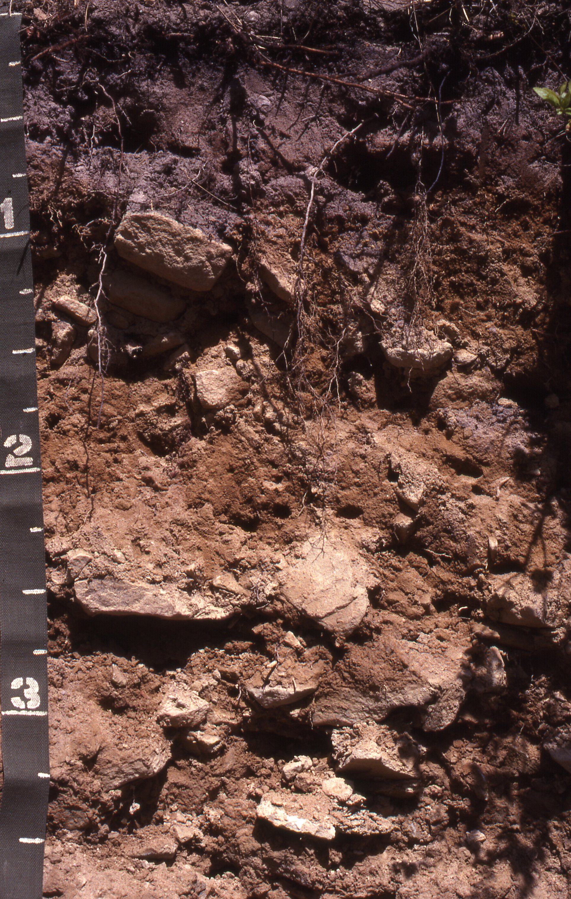 Pennsylvania Soils — Department of Ecosystem Science and Management