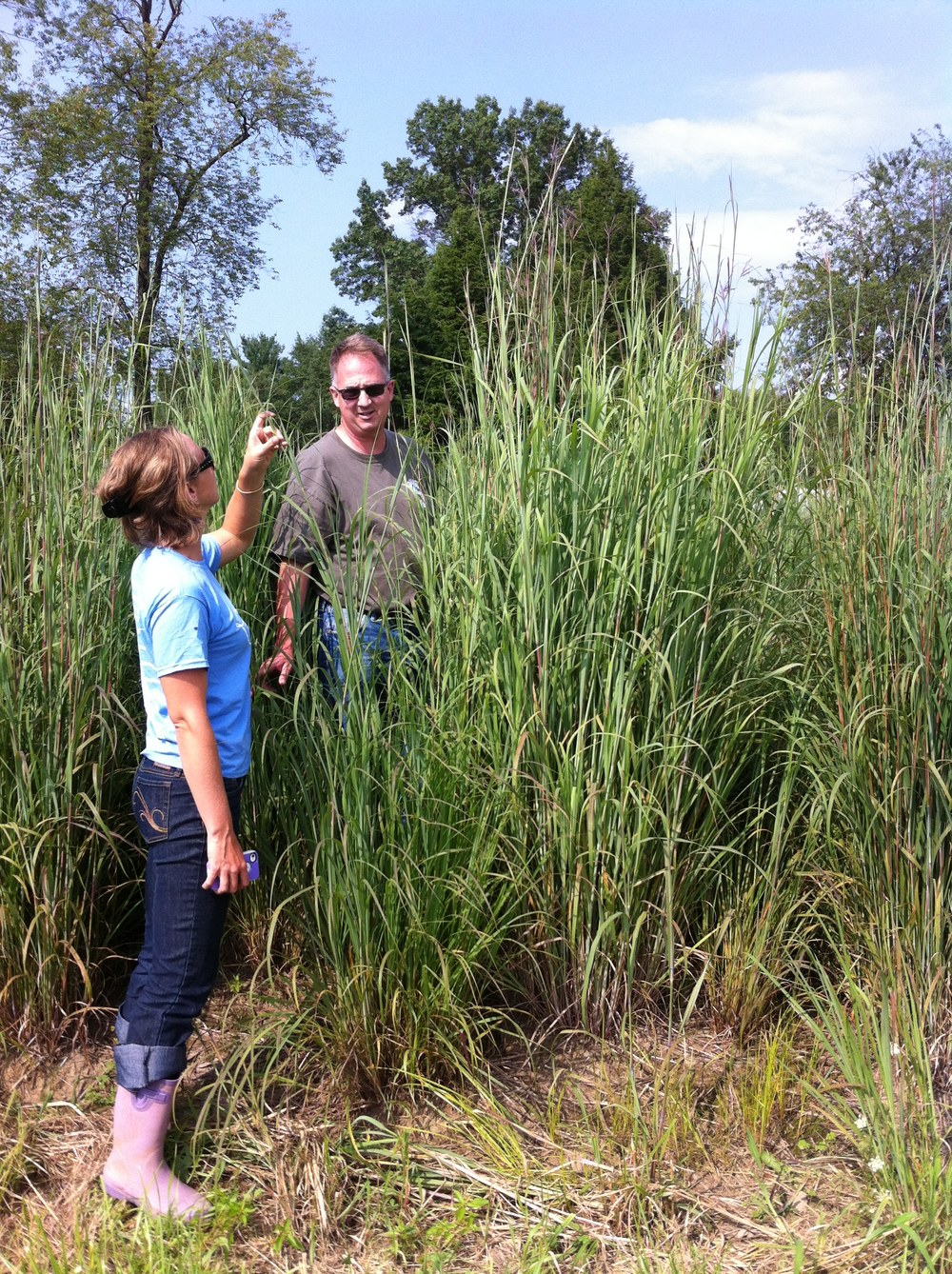 Anthropogenic Imprinting on Soil and Ecosystem Function Researchers study grasses in a wetland