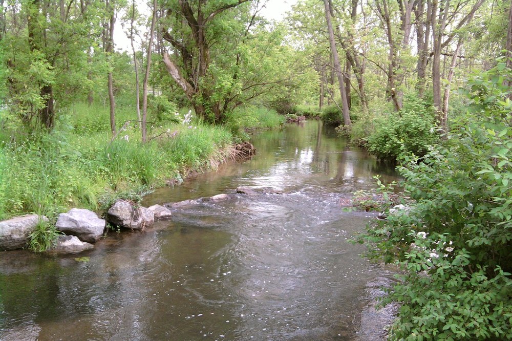 Assessing Vegetation Potential Across Landscapes and Time A flowing creek in the summer