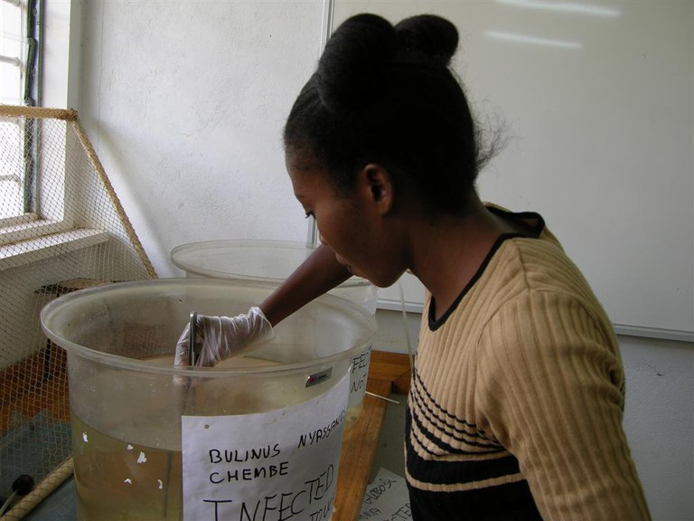 Mary Lundeba culturing snails